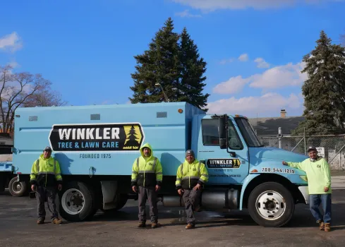 tree service in Buffalo Grove, IL; tree company; tree companies