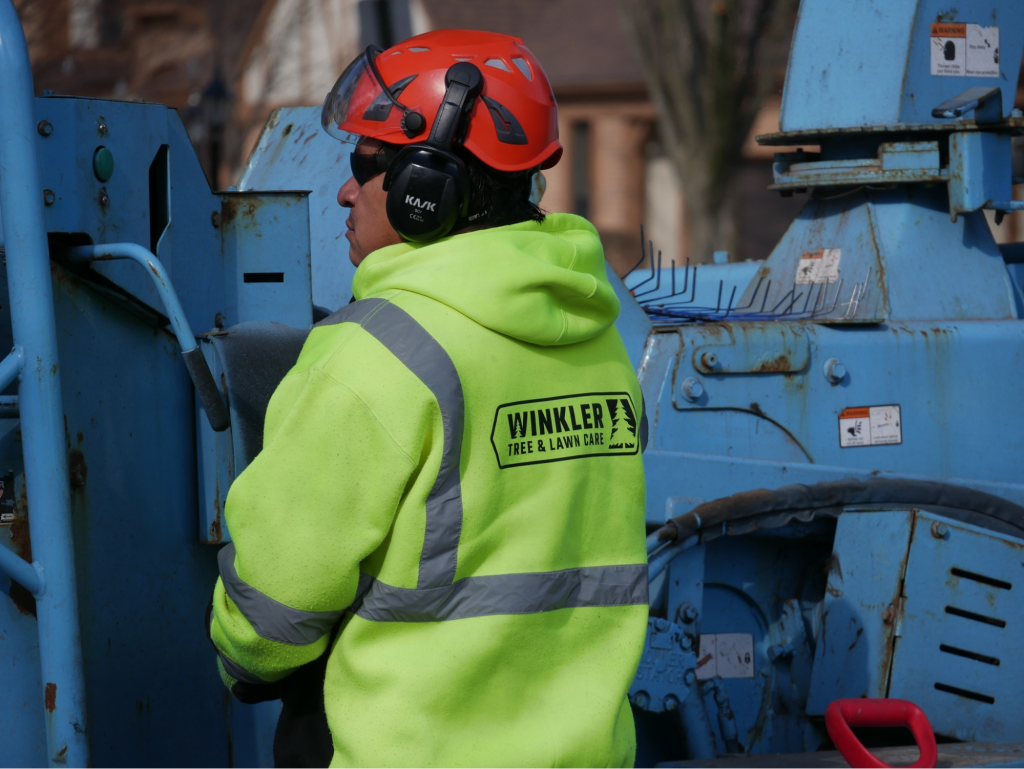tree care in Downers Grove, tree care company in Downers Grove, tree service in Downers Grove, tree removal in Downers Grove