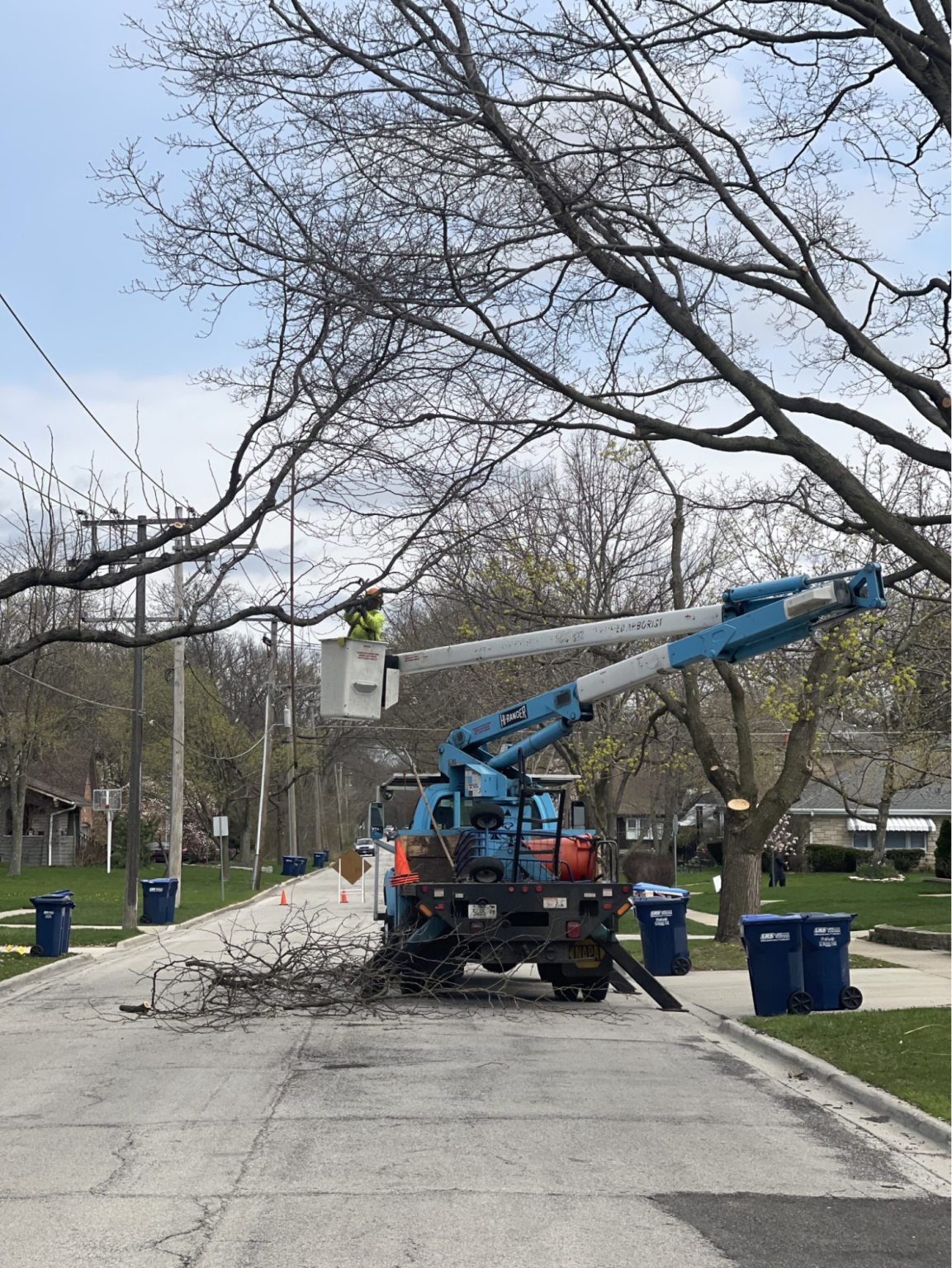 Tree Care Company in Oak Brook - Winkler Tree Service