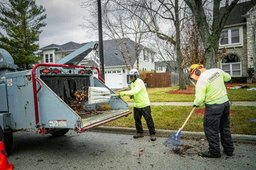 tree care company scooping into wood chipper