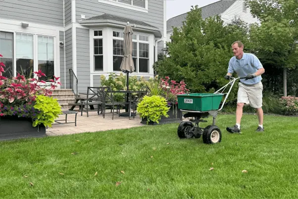 Tree and Lawn Fertilization: Why Timing Matters in Illinois Landscapes
