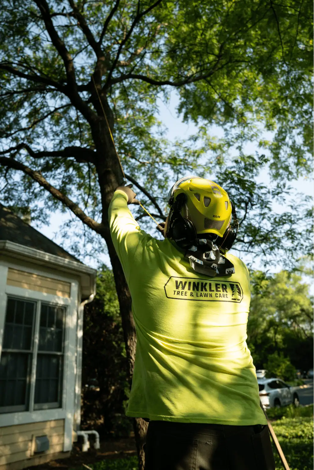 Tree removal and stump grinding service in Chicago IL