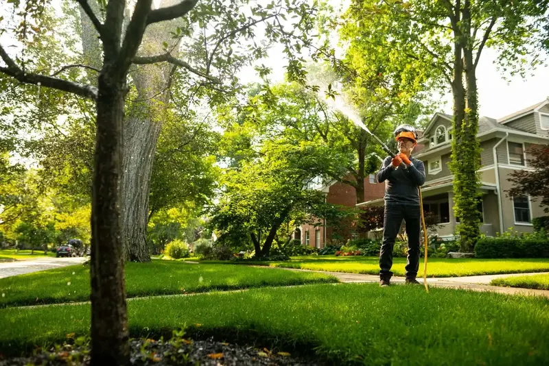 Professional tree service crew working in Chicago IL