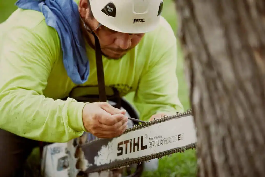 Full service tree removal and stump grinding in Chicago IL